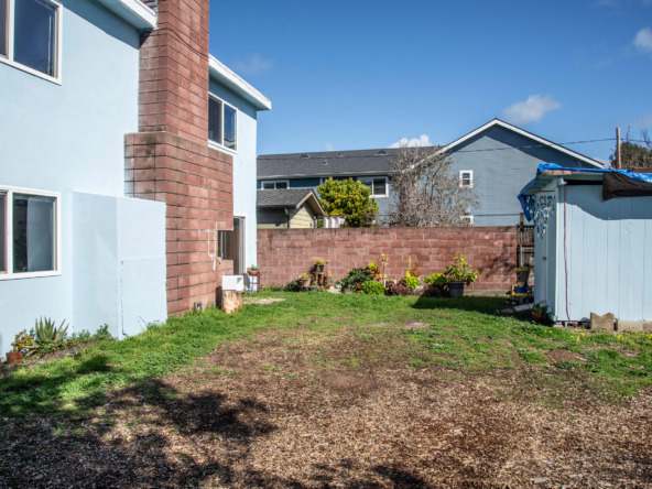 Backyard 3__DSC_5713-HDR