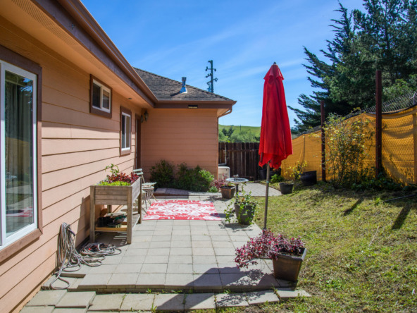 Backyard 3_DSC_5895